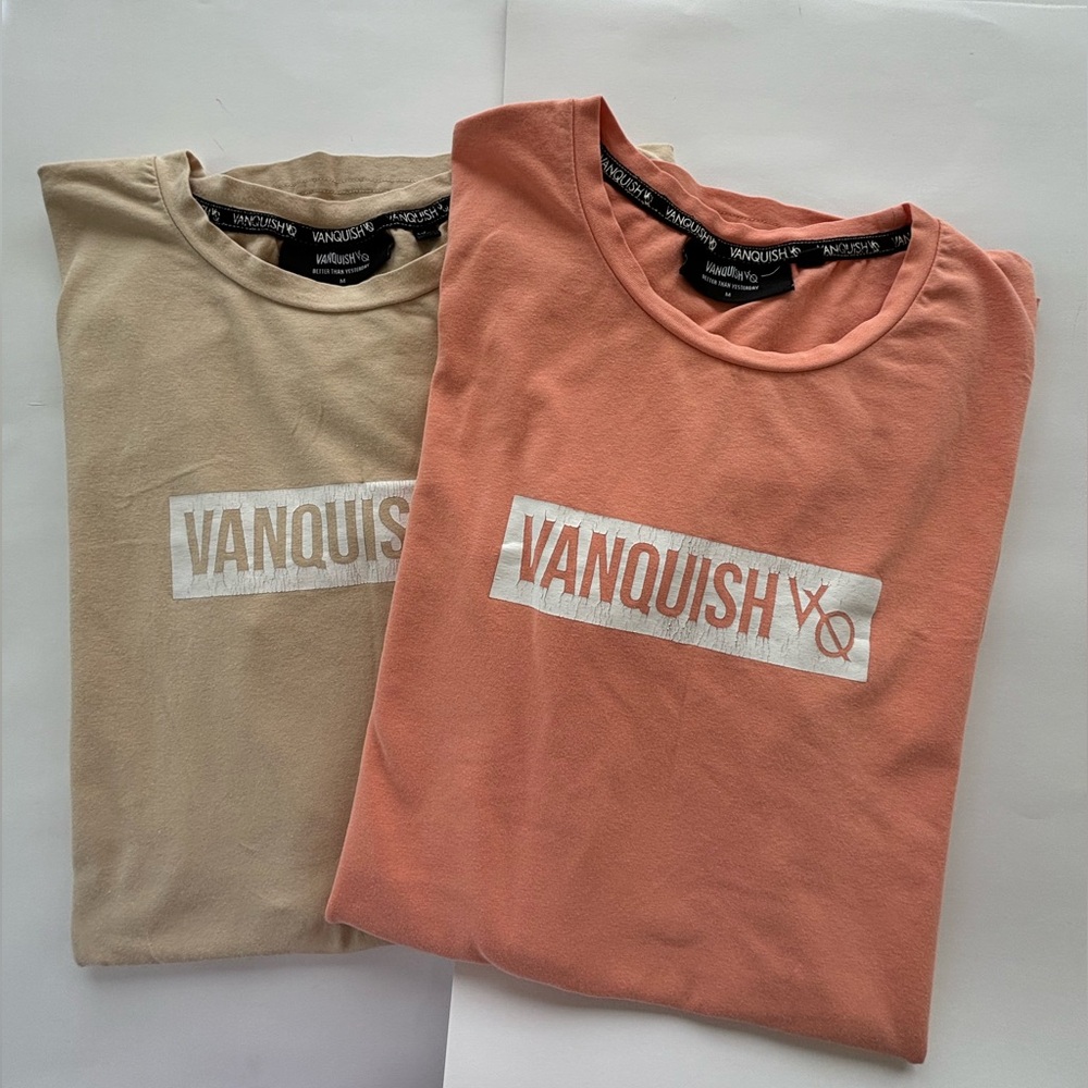 Vanquish FitnessVQ Fijique Bodybuilding two T-shirt for Men 95%cotton - Picture 13 of 14